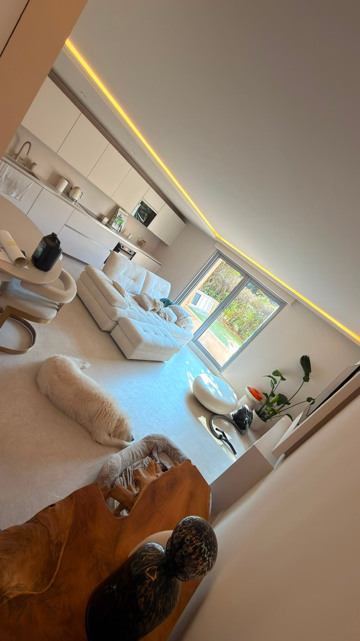 Mat, satin ou velours : choisir sa finition